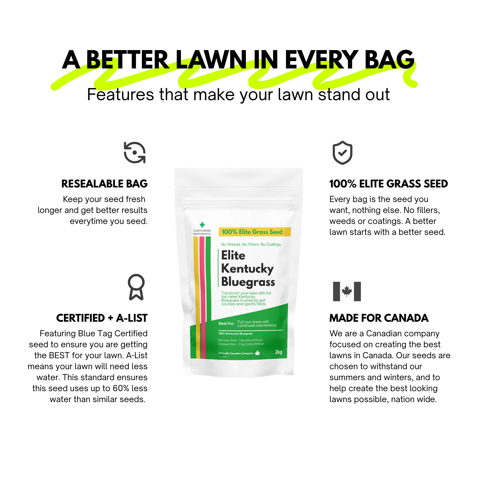 Elite Kentucky Bluegrass Grass Seed