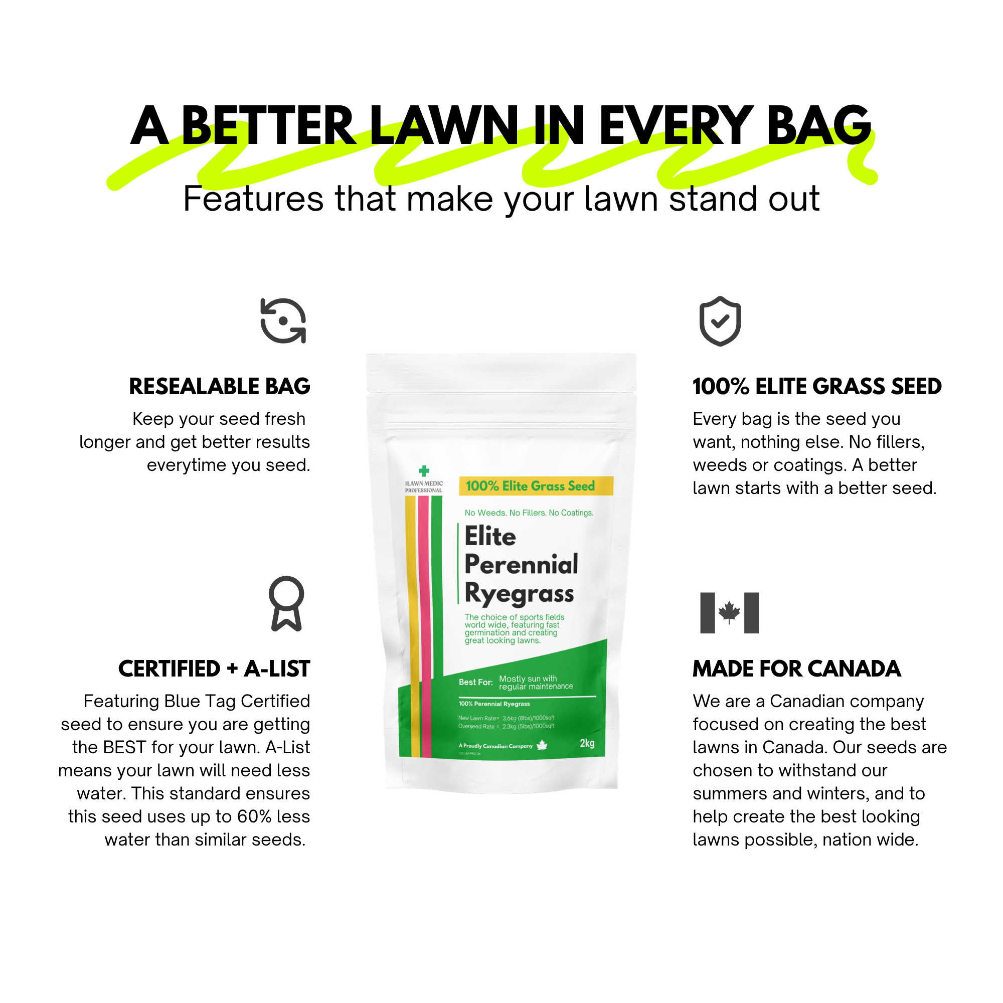 Elite Perennial Ryegrass Grass Seed