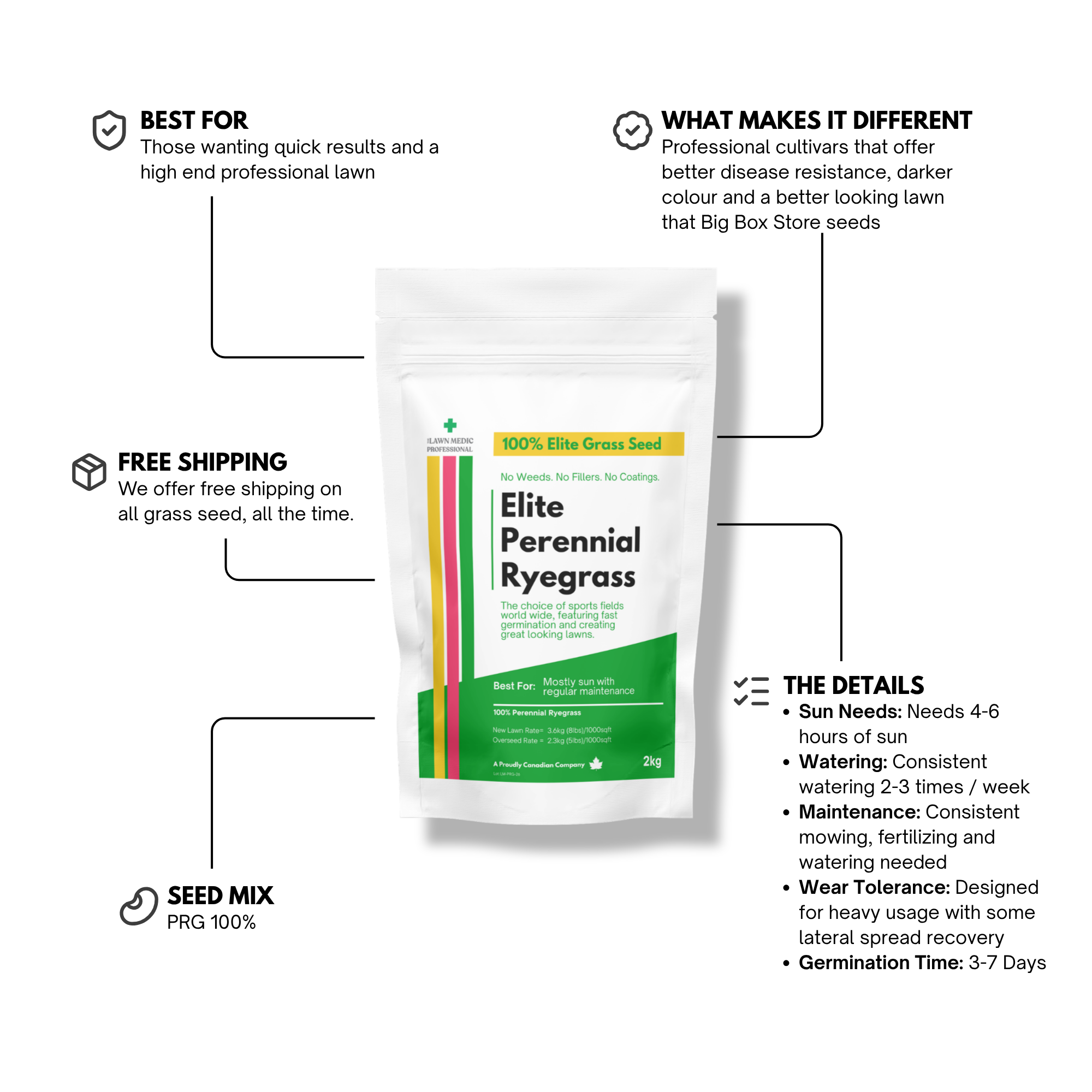 Elite Perennial Ryegrass Grass Seed