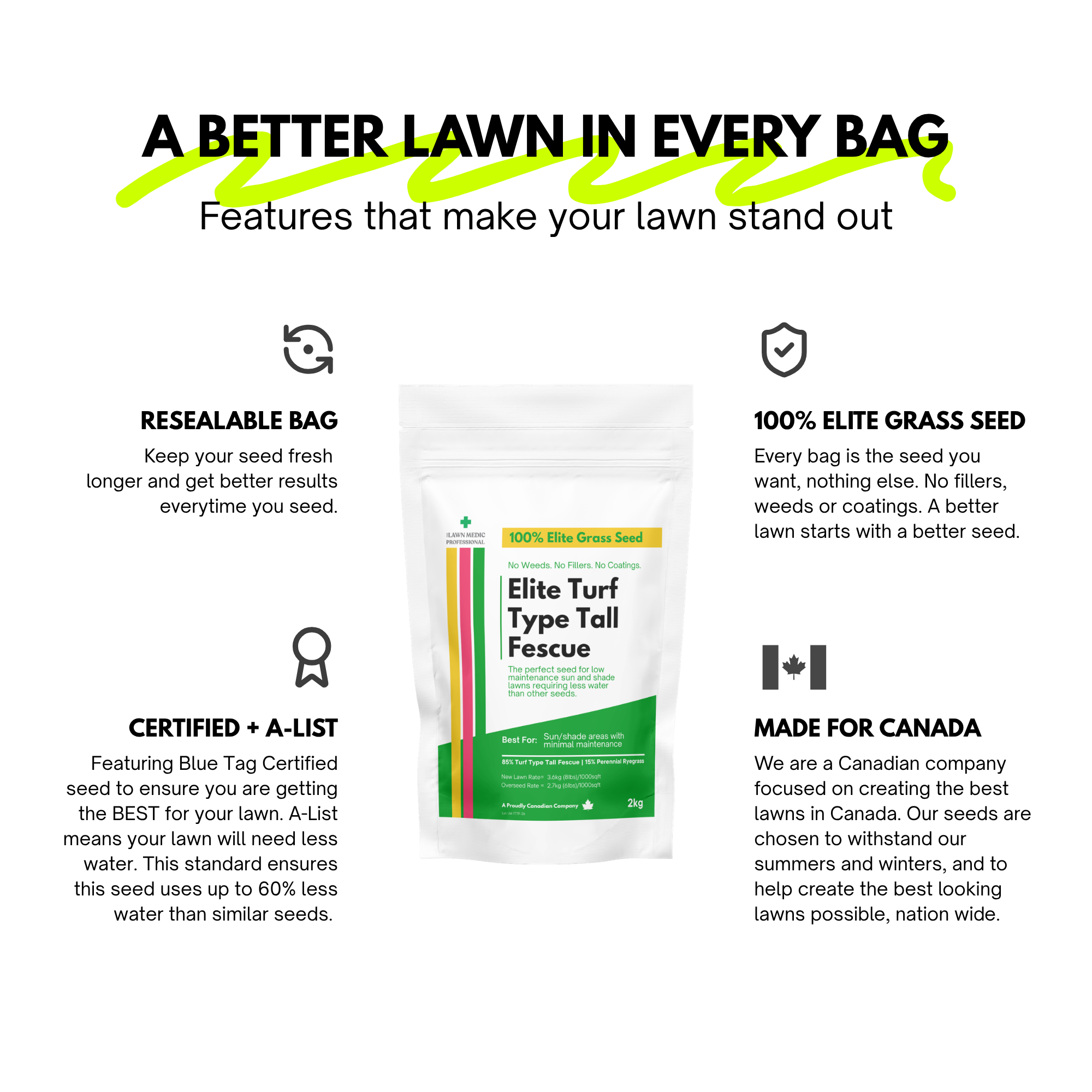 Elite Turf Type Tall Fescue Grass Seed