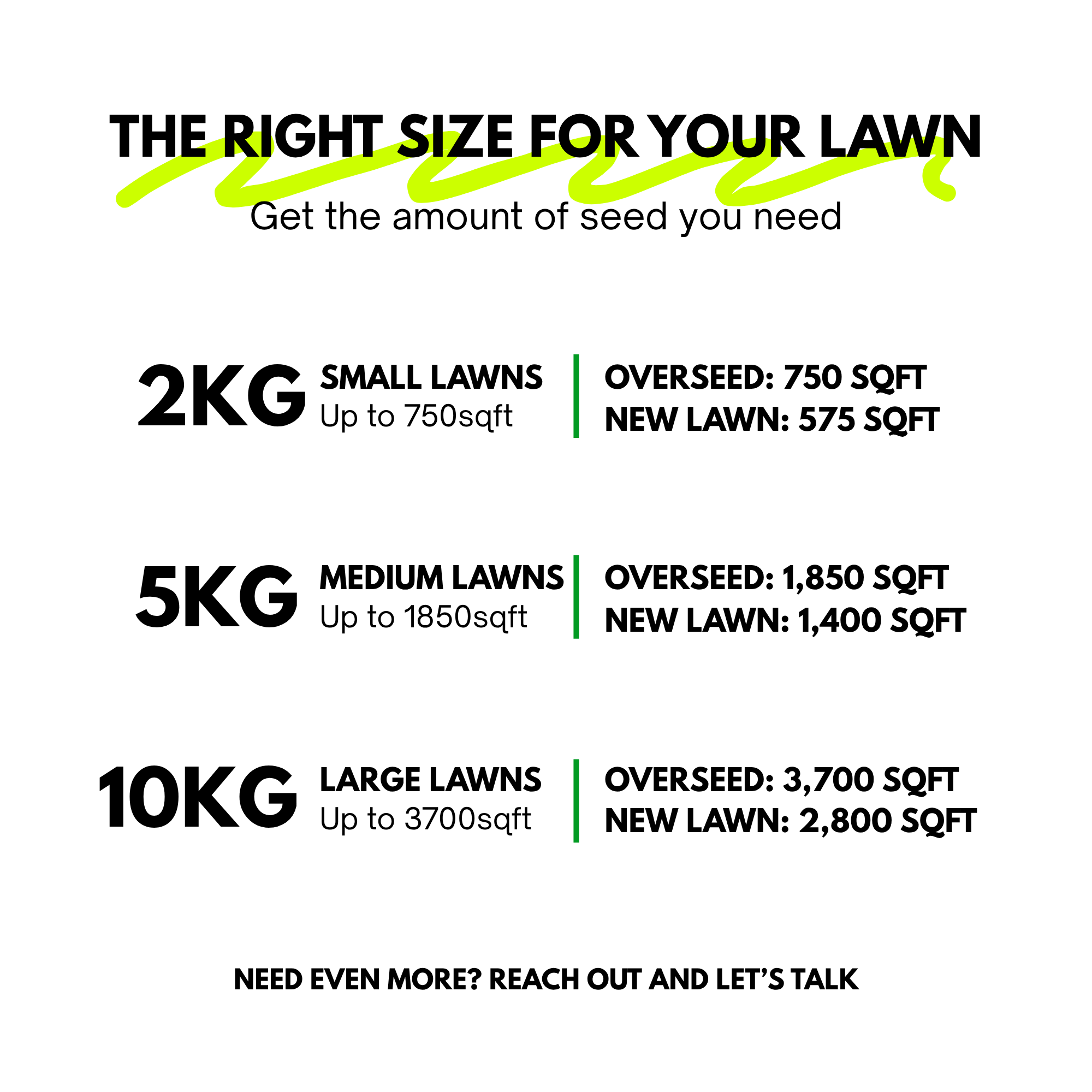 Elite Turf Type Tall Fescue Grass Seed