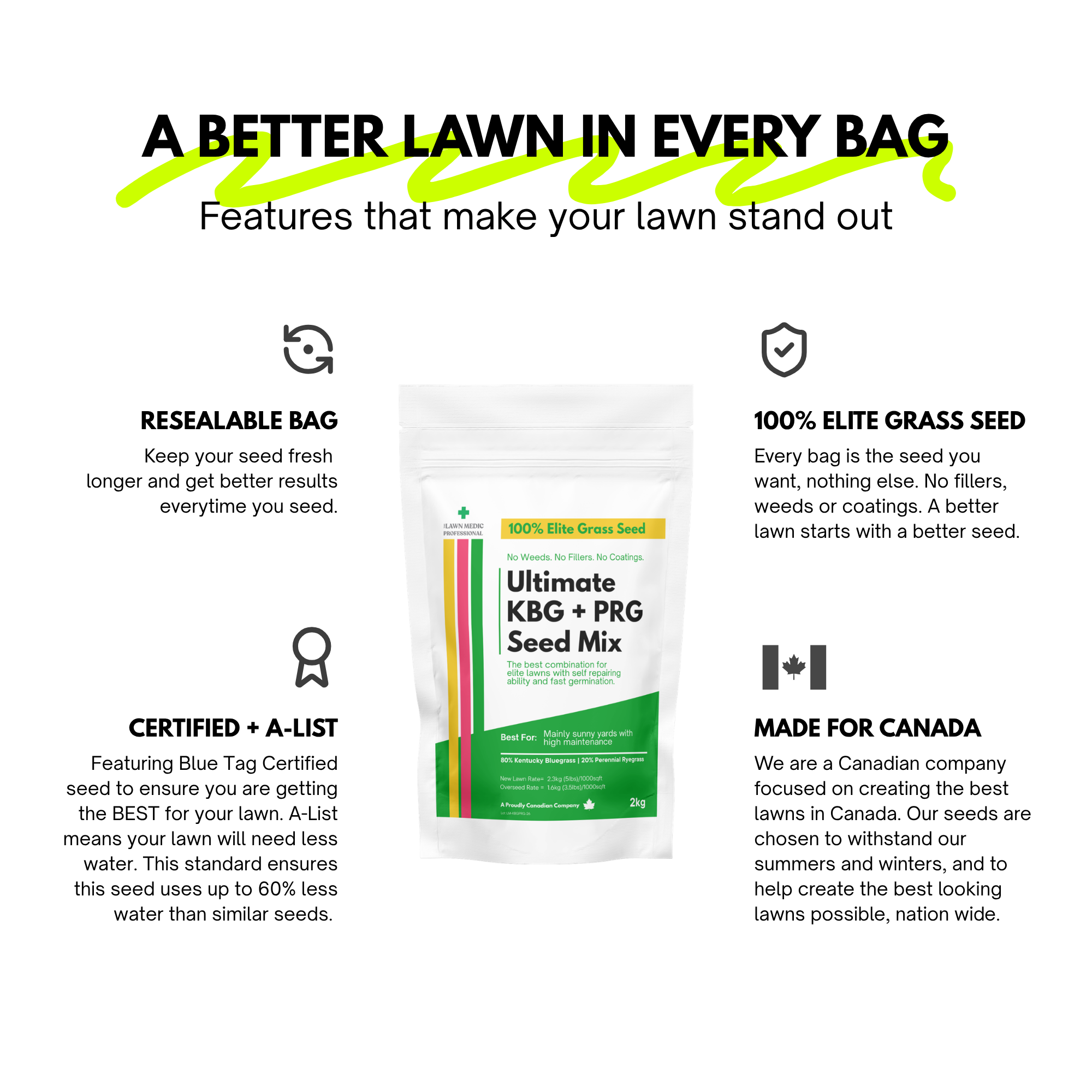 Ultimate Kentucky Bluegrass + Perennial Ryegrass Grass Seed Mix