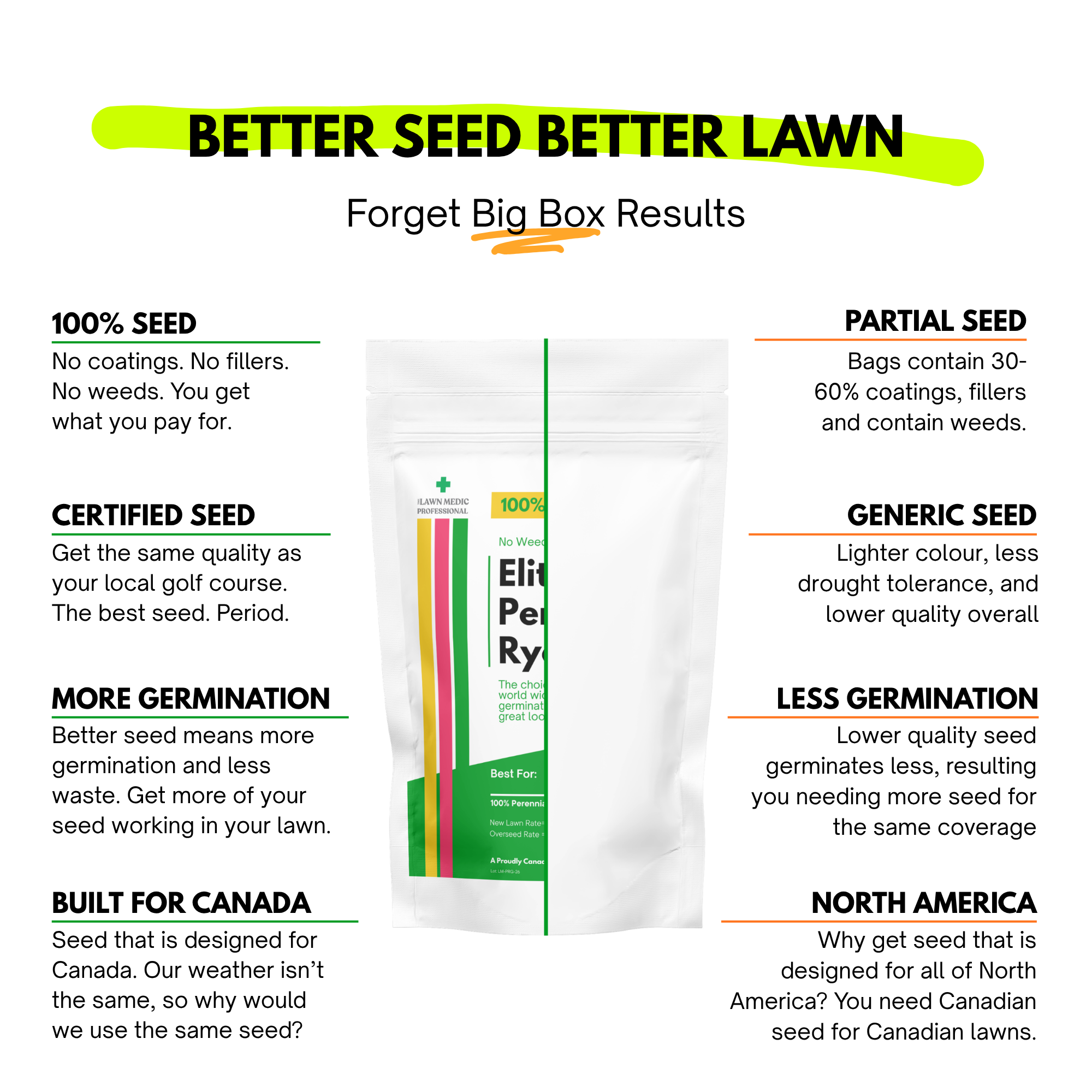 Elite Perennial Ryegrass Grass Seed