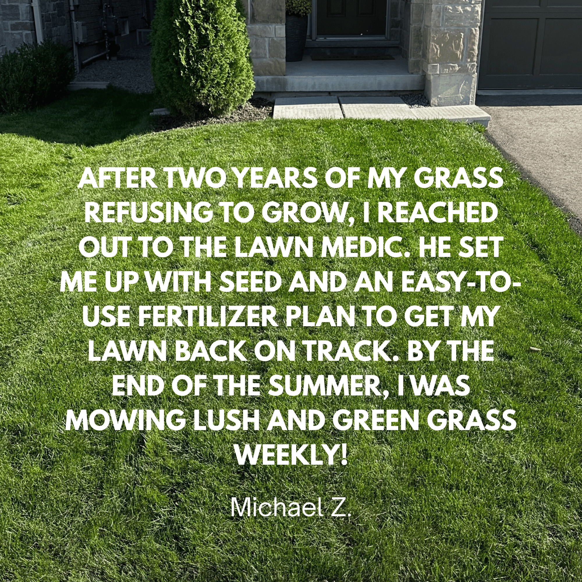 All Canadian Grass Seed Mix