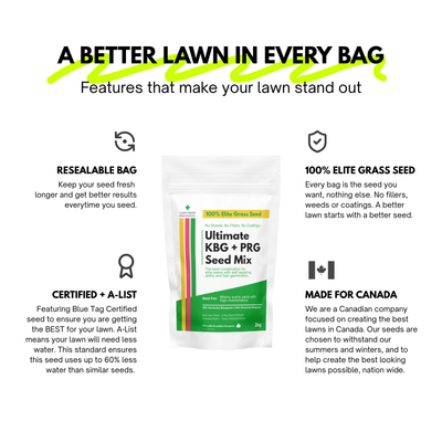 Ultimate Kentucky Bluegrass + Perennial Ryegrass Grass Seed Mix