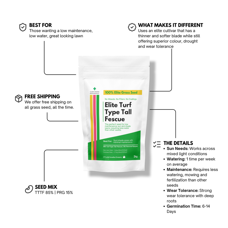 Elite Turf Type Tall Fescue | Drought Resistant Seed | The Lawn Medic